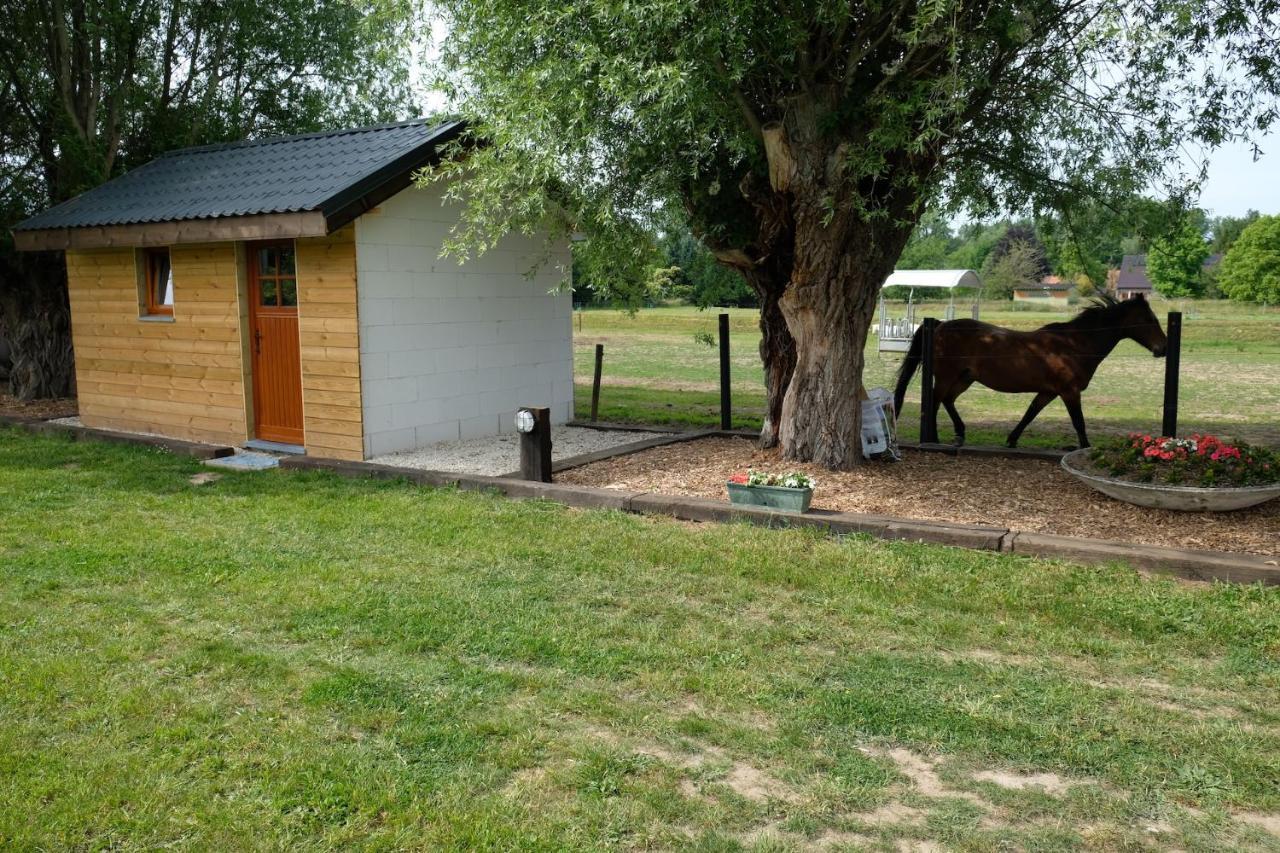 Camping Des Saules Jurbise Kültér fotó